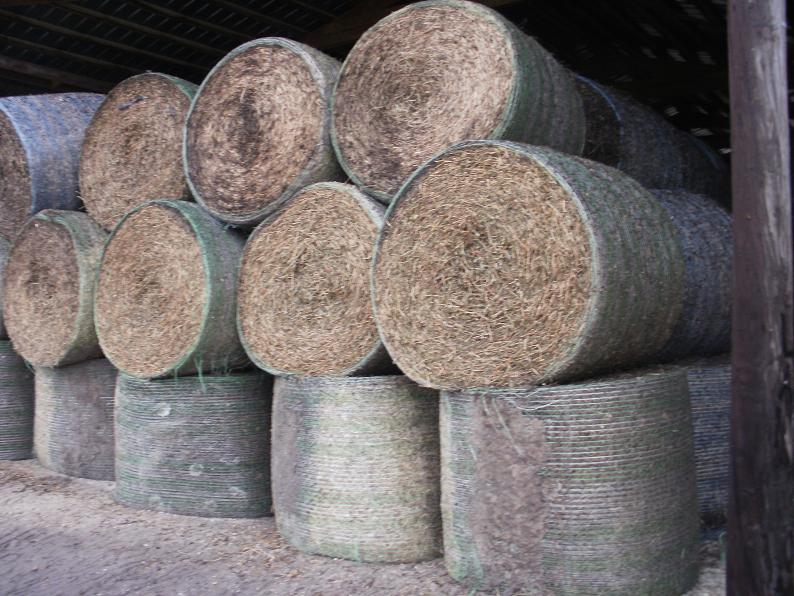 PEANUT HAY